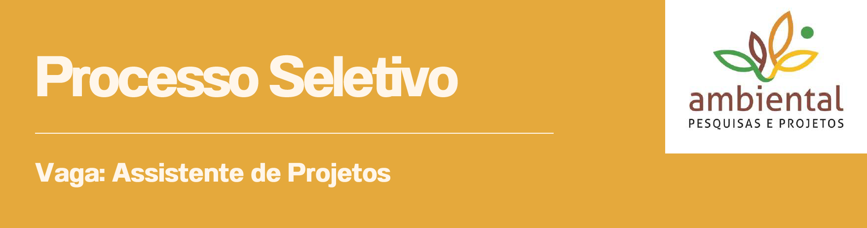 Processo Seletivo Assistente de Projetos 