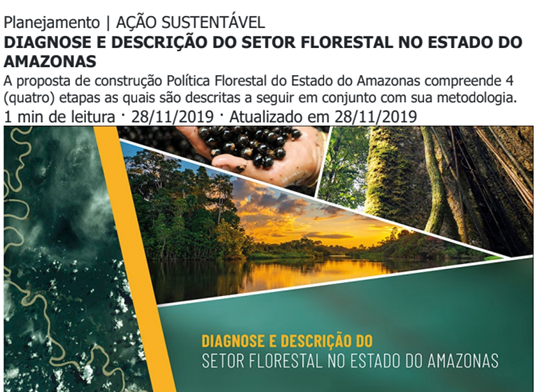 DIAGNOSE E DESCRIÇÃO DO SETOR FLORESTAL NO ESTADO DO AMAZONAS
